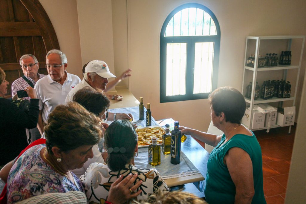 Enoro oleoturismo 3 oleoturismo 1