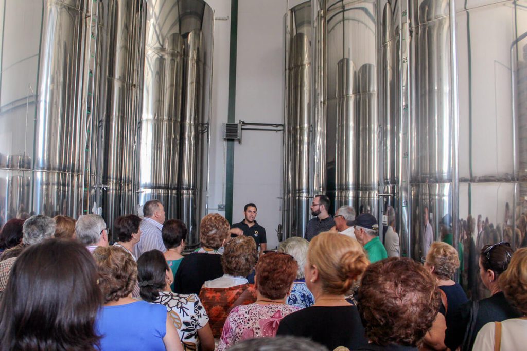 Enoro oleoturismo 4 oleoturismo 3